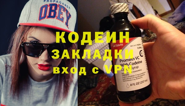 молекула духа Алзамай