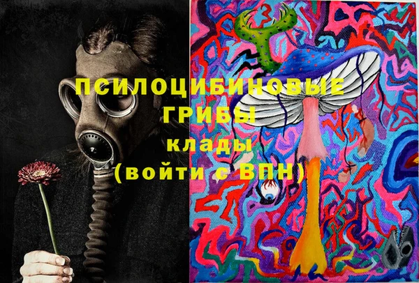 молекула духа Алзамай